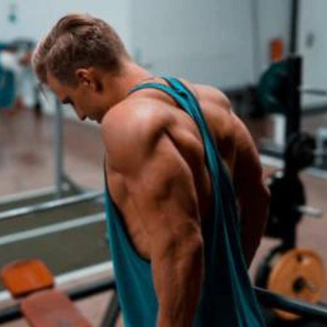 build muscle without carbs