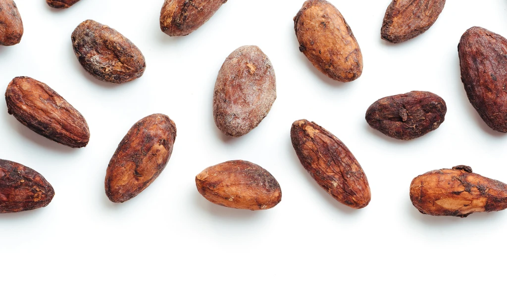 cacao beans